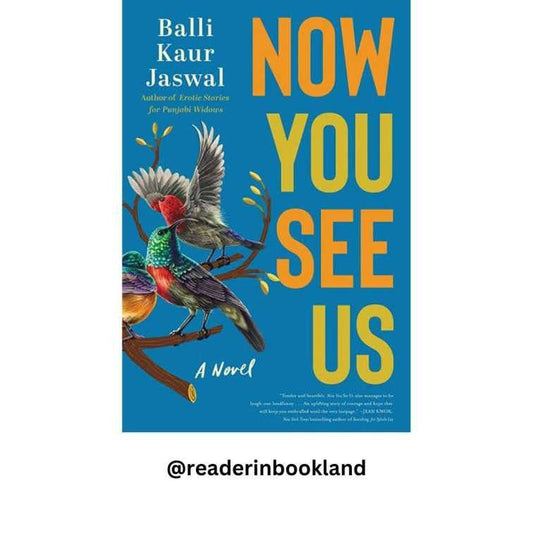 Now You See Us Book by Balli Kaur Jaswal