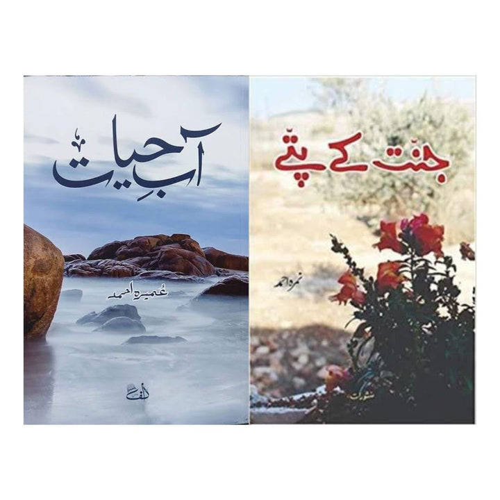 Aab-e-Hayat + Jannat Kay Patte - Lowest price in India