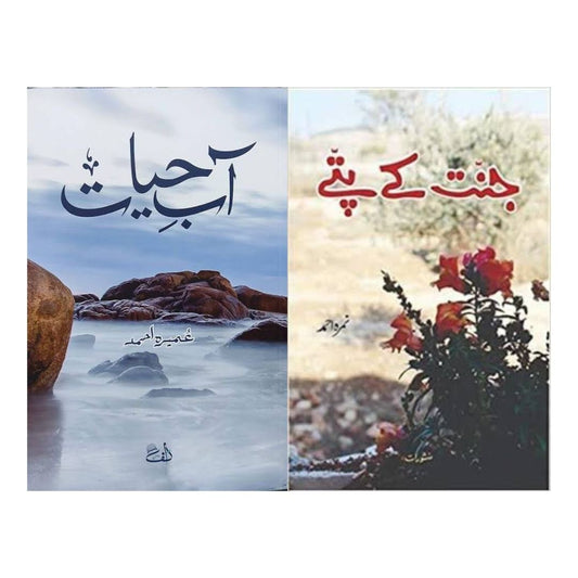 Aab-e-Hayat + Jannat Kay Patte - Lowest price in India