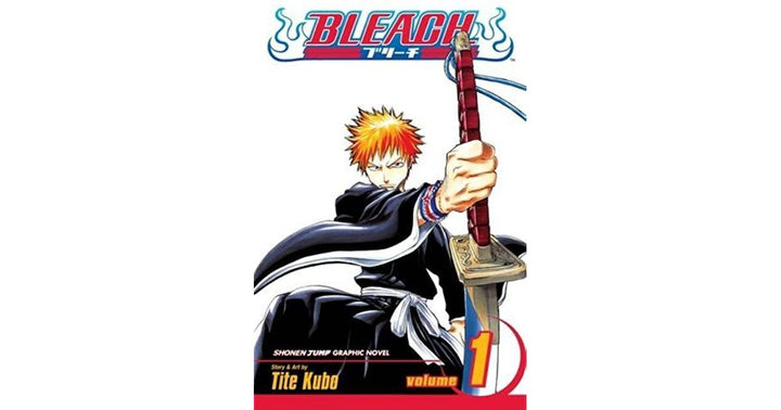 Bleach Volume 1  (English, Paperback)