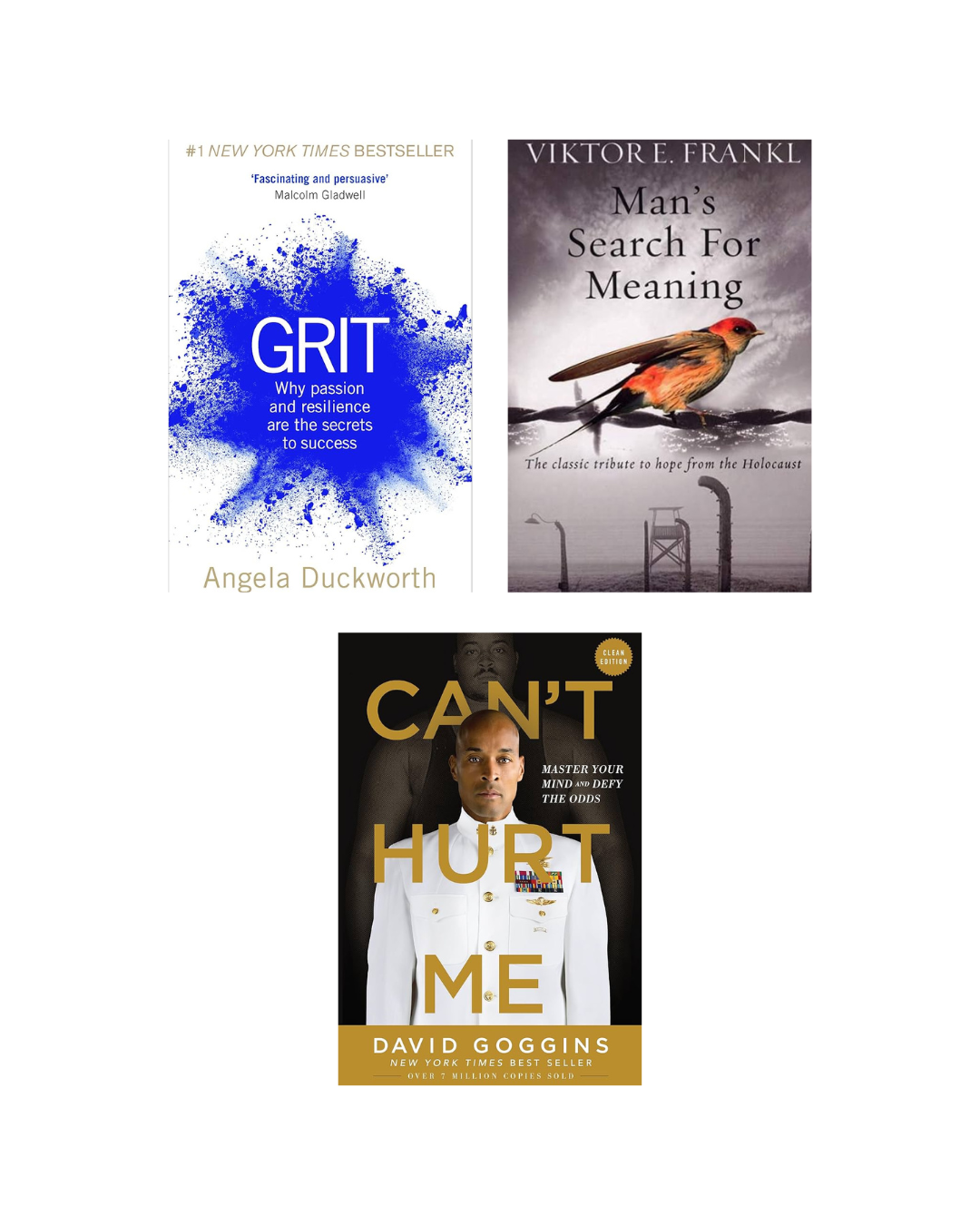Mental Strength & Resilience Book Combo: Grit + Man's Search for Meaning + Can't Hurt Me | Motivation & Personal Growth Books Set