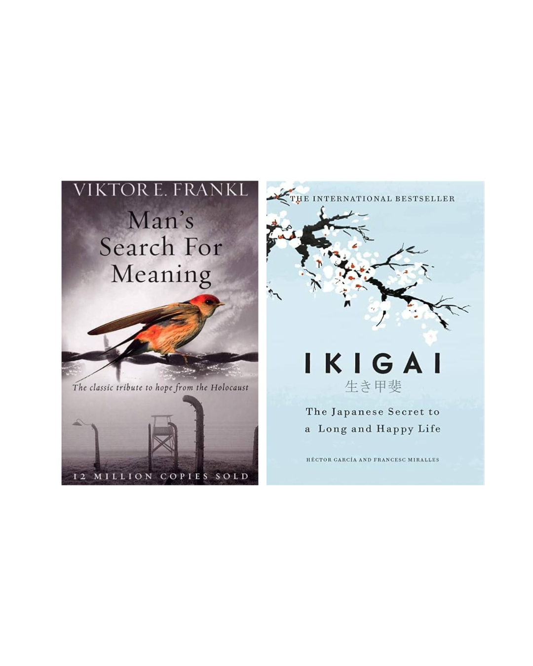 Purpose & Meaning Combo | Man’s Search for Meaning + Ikigai