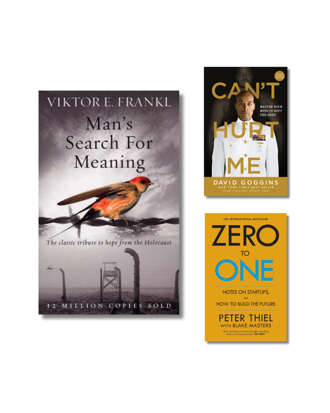 Resilience, Discipline & Success Combo | Man’s Search for Meaning + Can’t Hurt Me + Zero to One