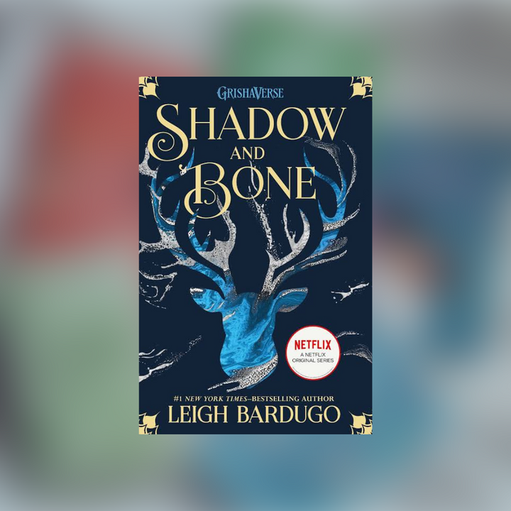 Shadow And Bone Book 1 of 3: The Shadow and Bone Trilogy