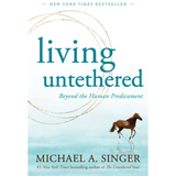 Living Untethered: Beyond the Human Predicament by Michael Alan Singer